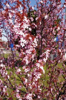 A beautiful spring day