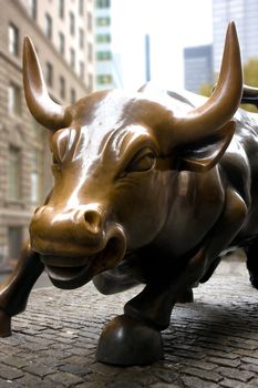 Close up of the bronze bull near Wall Street, New York,