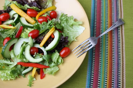 Fresh colorful salad with cherrie tamatoes and cucumber
