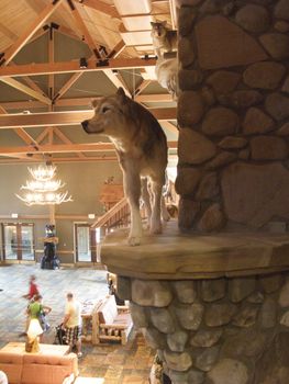 Great Wolf Lodge in Concord, North Carolina