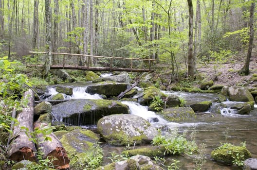 Great Smokey Mountains National Park, USA