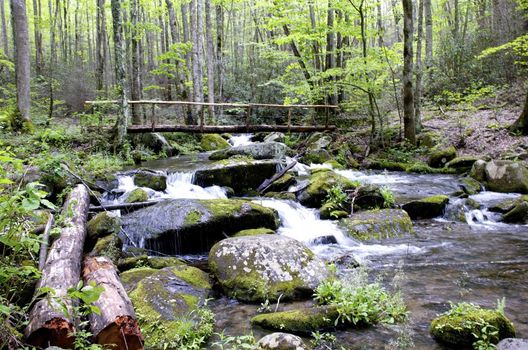 Great Smokey Mountains National Park, USA