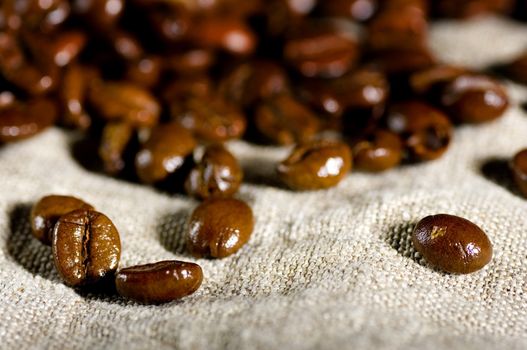 Coffee in grains is used for preparation of a popular and fragrant drink