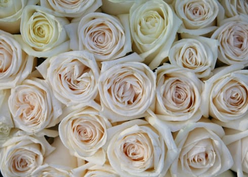A flower arrangement with soft pink and white roses