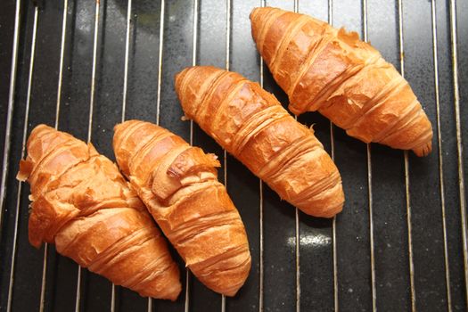 Four fresh backed French croissants just out of the oven