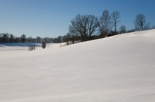 Snow Winter day