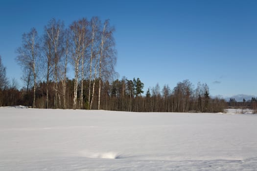 Snow Winter day