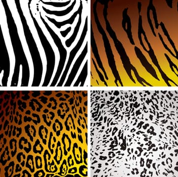 Animal skin backgrounds with different camouflage textures and patterns