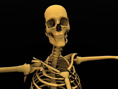 Image of a cartoon style Skeleton.