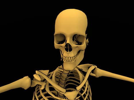 Image of a cartoon style Skeleton.