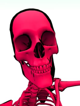 Image of a cartoon style Skeleton.
