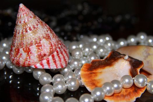 Background from mussels and pearls, riches
