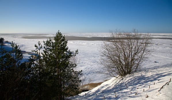 Snow Winter day