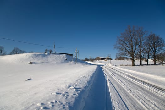 Snow Winter day