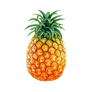 pineapple shows