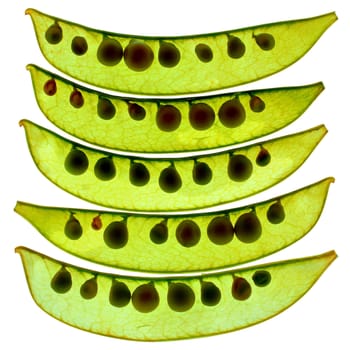 Arrange snow peas