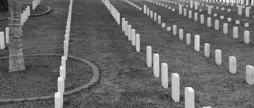 Rows of headstones in a graveyard