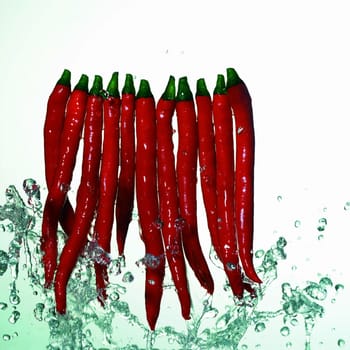 Planting, red, arrangement, friendship