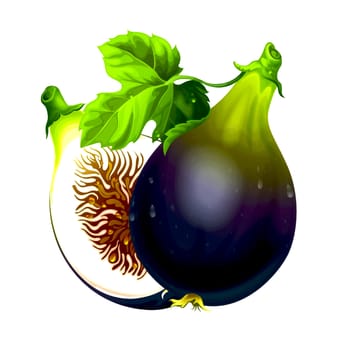 Plants, cut, image, botany, plant