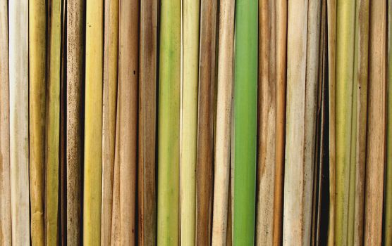 raw  bamboo background        