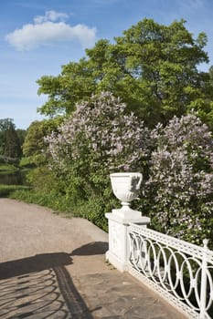 Vase of the bridge and blossoming lilac in the park