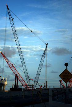 cranes in the skyline