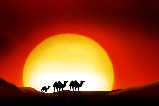 lonesome Animals in a sunset of the sahara desert