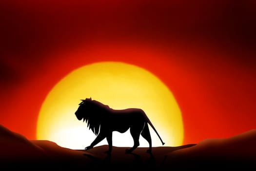 lonesome lion in a sunset of the sahara desert