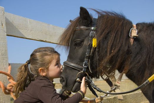 little girl kissing her pony purebred shetland on the nose