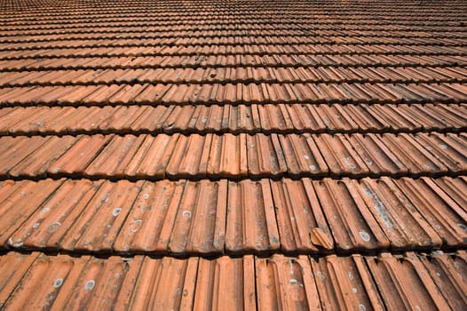 Wide angle shot of a roof with old red tiles. Deep Focus. 