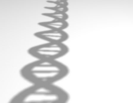 Shadow of DNA strand on a white background