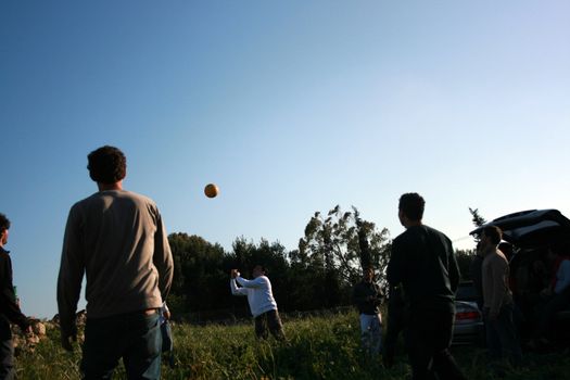 a group of men playing ball in a garden
