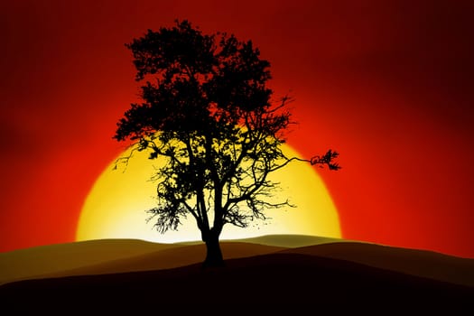 silhouettes of an romantic tree in the sunset