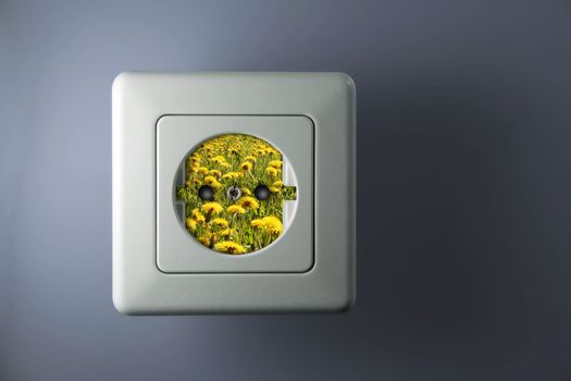 socket with green and free energy