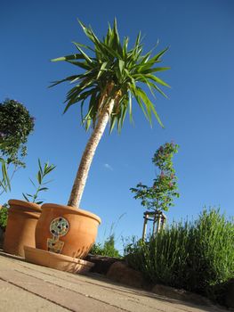 Summer Holidays with palm in the south