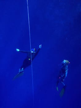 Underwater scene, rest on the Red sea, Egypt, Dahab