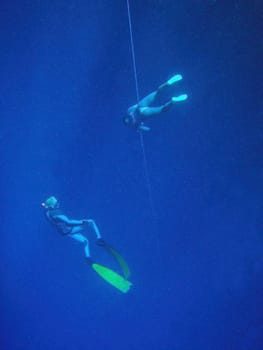 Underwater scene, rest on the Red sea, Egypt, Dahab