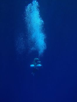 Underwater scene, rest on the Red sea, Egypt, Dahab, Blue Hole