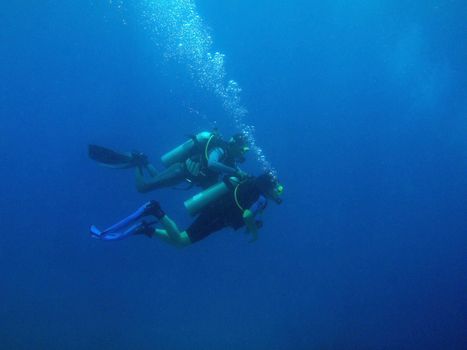 Underwater scene, rest on the Red sea, Egypt, Dahab, Blue Hole