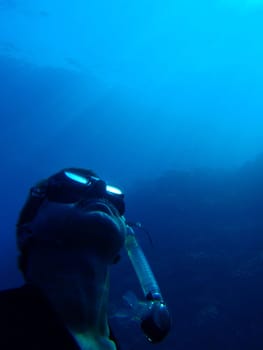 Underwater scene, rest on the Red sea, Egypt, Dahab