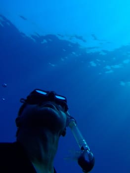 Underwater scene, rest on the Red sea, Egypt, Dahab