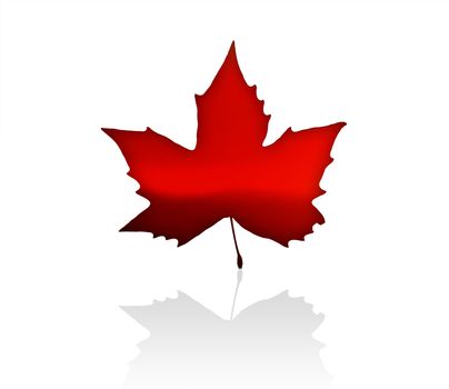 The Flag of Canada with maple leaves