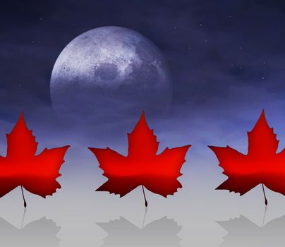 The Flag of Canada with maple leaves