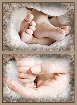 Collection of baby feet and hands held by mother