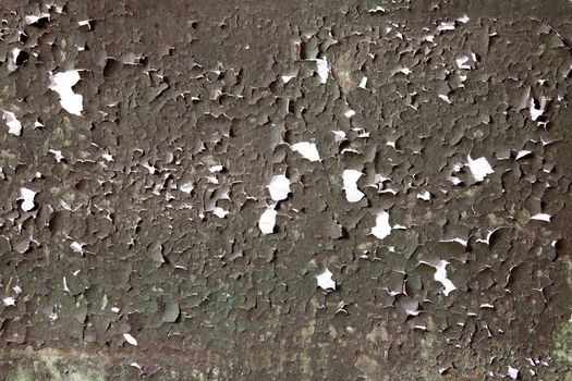 The painted peeled grunge weathered old wall