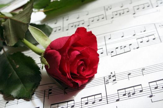 lovesong
