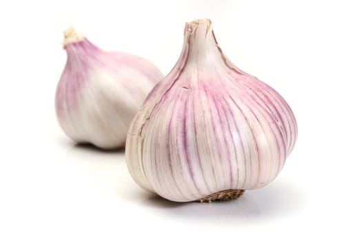 Two garlics over a white background