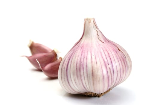 Garlic and cloves over a white background