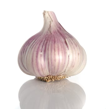 Garlic over a white background with reflection