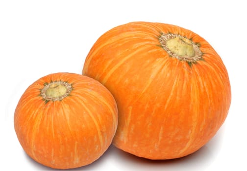 Two pumkin isolated over a white background